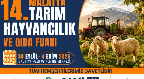 Benzer Haber