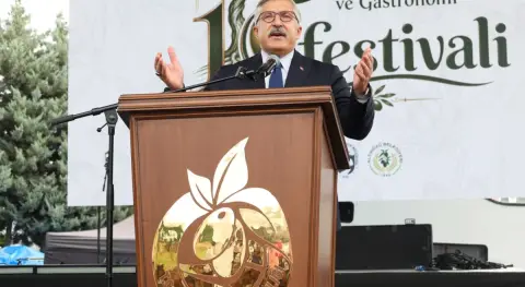 Benzer Haber