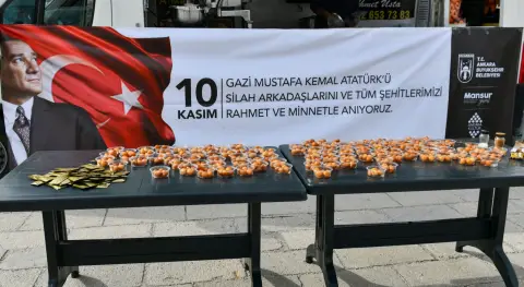 Haber Resmi