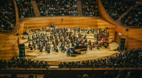 Benzer Haber