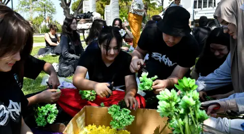 Haber Resmi