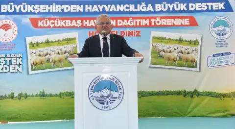 Haber Resmi