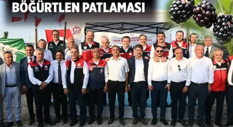 Haber Resmi