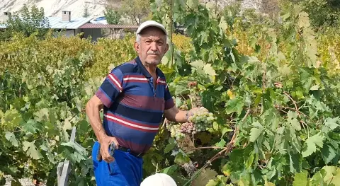 İlgili Haber