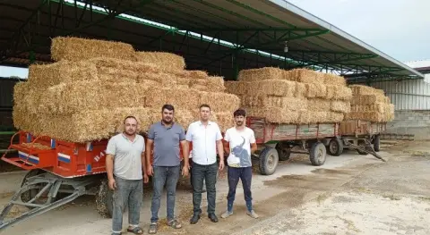 Haber Resmi