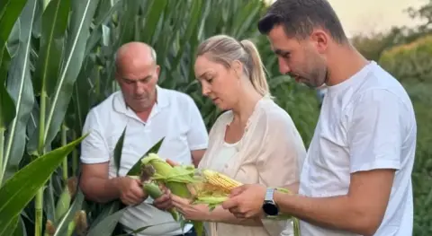 Haber Resmi