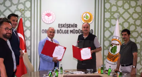 Haber Resmi
