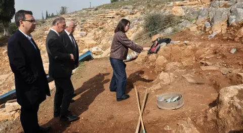 Benzer Haber