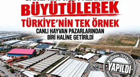 Haber Resmi