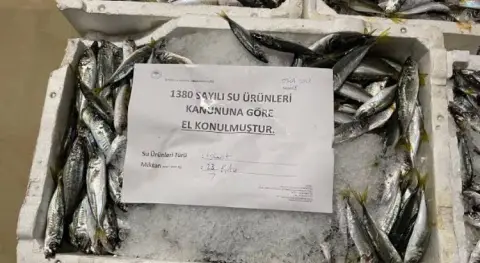 Haber Resmi