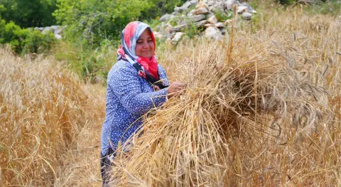 İlgili Haber