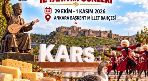 Benzer Haber