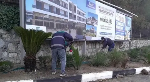 Haber Resmi
