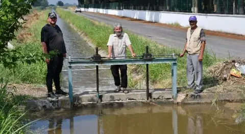 Haber Resmi
