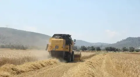 Benzer Haber