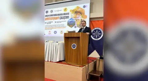 Haber Resmi