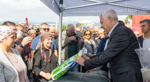 Benzer Haber