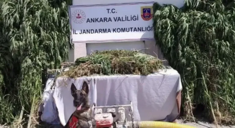 12 İlde Narkoçelik-26 Operasyonunda 28 Tutuklama!