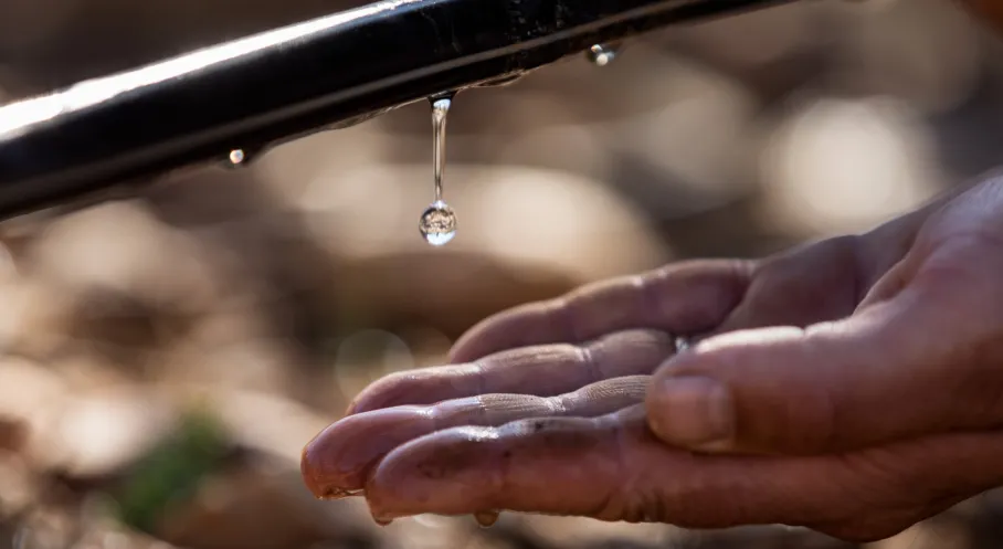 2035 Hedefli Su Verimliliğinde Devrim: Türkiye'nin Ulusal Su Planı'na Özel Stratejik Hamle!