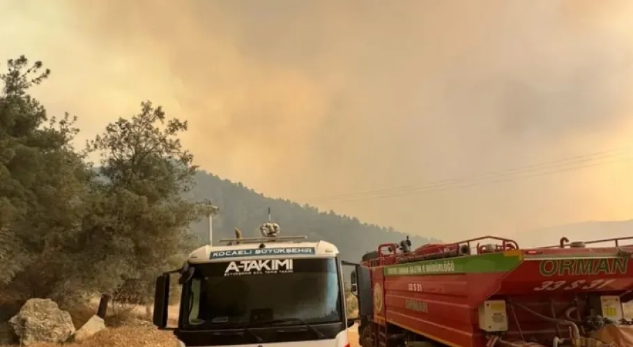 Kocaeli A Takımı'ndan Orman Yangınına Anında Müdahale!