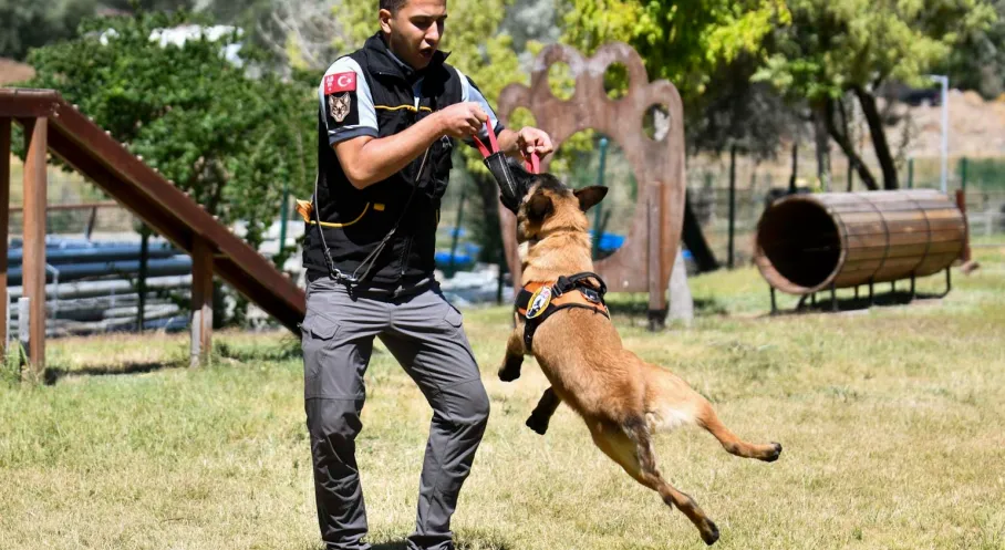 ABB’nin K9 Ekipleri Başkent'te Görev Başında