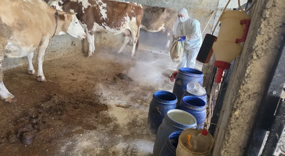 Adıyaman'da Zoonoz Hastalıklara Karşı Kalkan Oluşturuldu: Halk Sağlığı İçin Dev Aşılama Seferberliği!