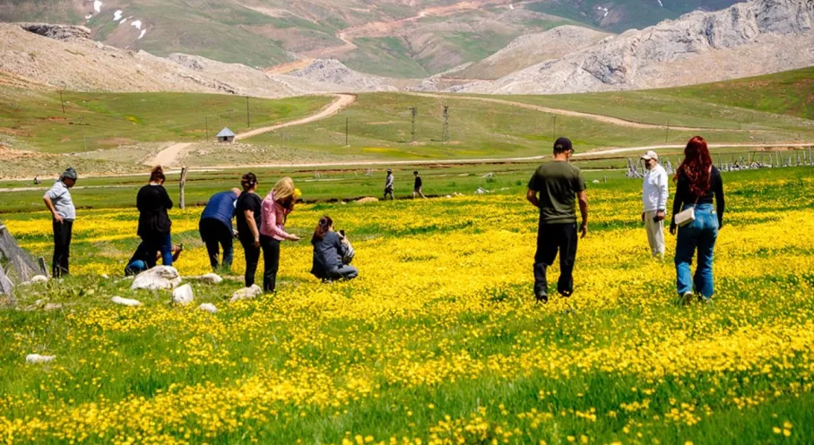 Alanya Basını Gündoğmuş'ta Doğa ve Kültürle Buluştu: Unutulmaz Gezi!