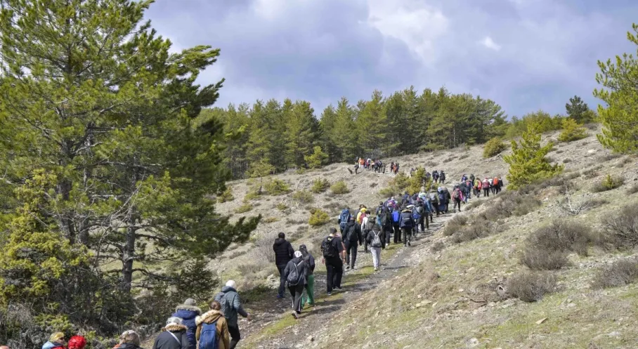 ABB ile Ankara'nın Kalbinde Doğa Ziyafeti: Ücretsiz Yürüyüşler Başladı!