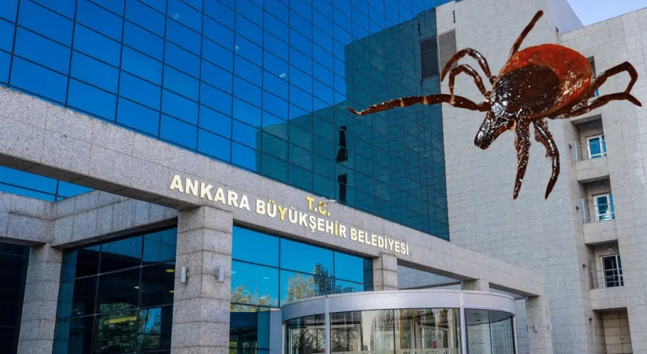 Ankara'da Kene Alarmı! ABB'den Kritik Uyarı: Parklara Gidenler Dikkat!