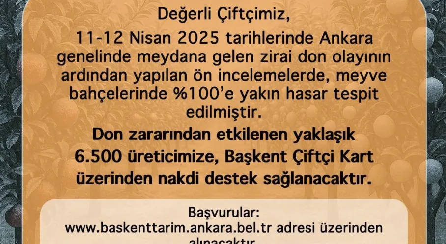 Ankara'da Zirai Don Şoku! ABB'den Üreticiye Can Suyu!