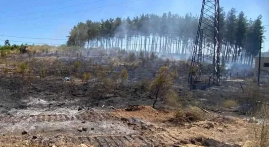 Antalya Aksu'da Orman Yangını Alarmı! Hızlı Müdahale Felaketi Önledi