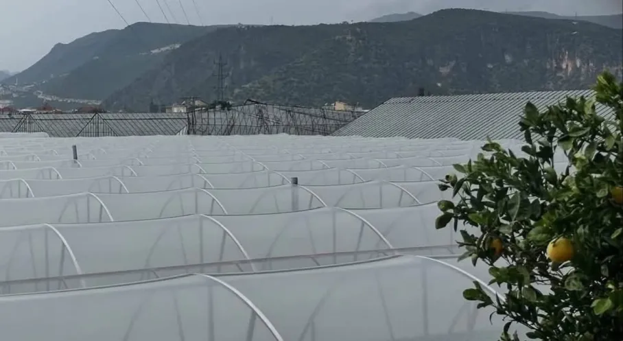 Antalya Demre'de Hortum Felaketi! Seracılar Zarar Görmüş Durumda!