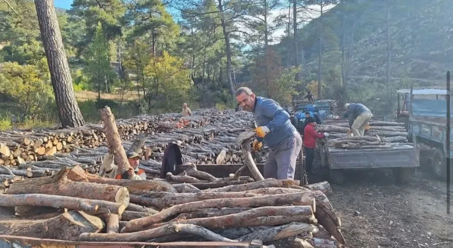 Antalya Kaş'tan Müjde! Sarıbelen'de Yakacak Odun Dağıtımı Tamamlandı: Kış Öncesi Rahat Nefes!
