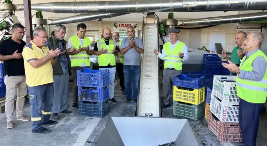 Antalya Kumluca’da zeytinyağı sıkım sezonu başladı