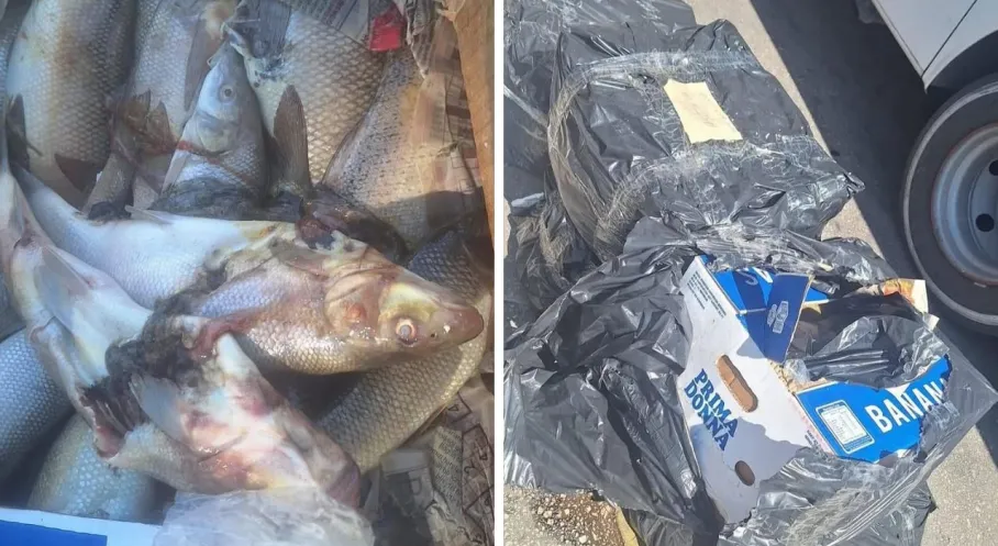 Antalya Otogarı'nda Şok Baskın! 100 Kilo Bozuk Deniz Ürünü Ele Geçirildi