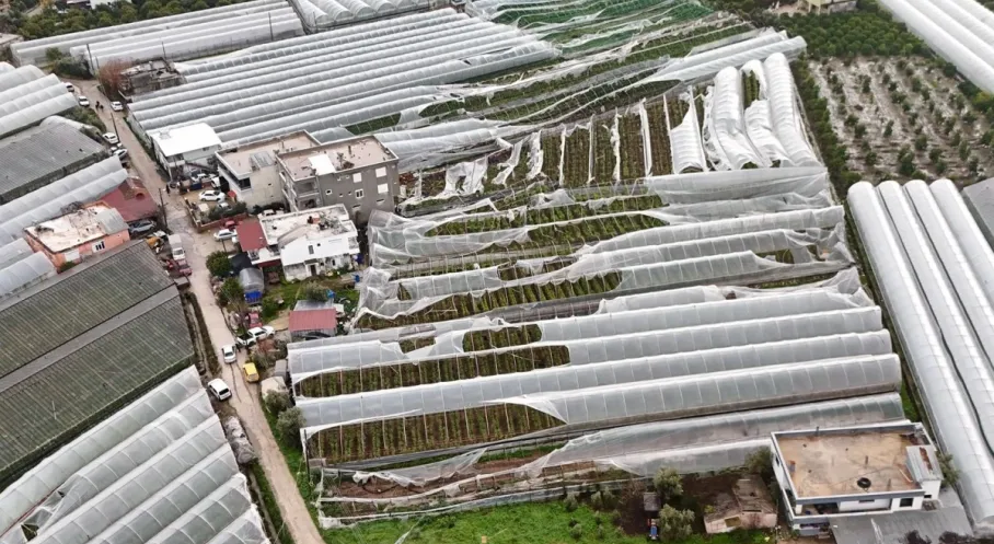 Finike'de Afet Alarmı! Hortum Seraları Yıktı: Antalya Büyükşehir'den Hızlı Çözüm Sözü
