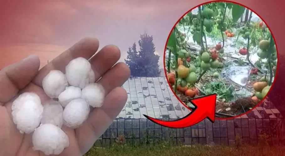Antalya'da Ceviz Büyüklüğünde Dolu Felaketi! Tarım Alanları Perişan!