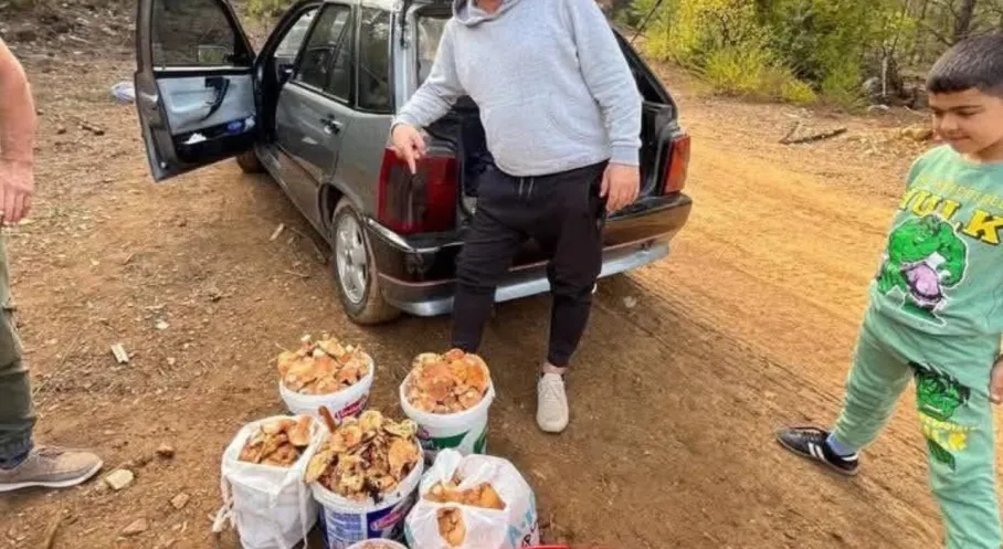 Antalya'da Duygulandıran Anma: Mantar Toplayıp Babasının Anısına Mahalleliye Dağıttı!