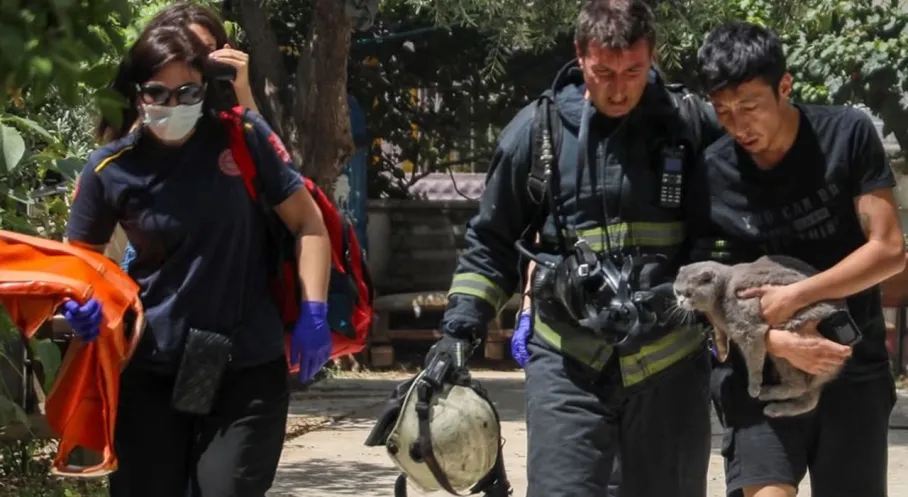 Antalya'da Kahramanlık Hikayesi: Yangında Kedisini Bir An Bile Bırakmadı!