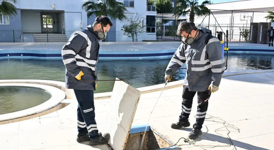 Antalya'da Yaz Rahatlığı Kıştan Başlıyor: Sinek ve Larva Mücadelesi Yıl Boyu Sürecek!