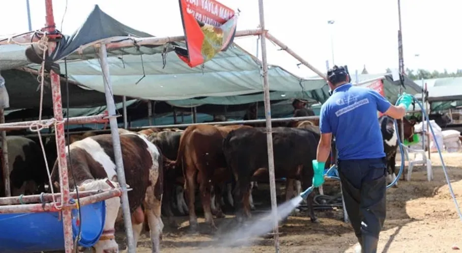 Antalya'da Kurban Satış Alanları Haşerelere Karşı İlaçlanıyor!