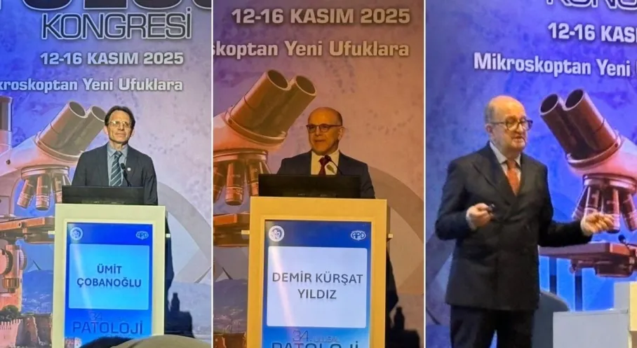 Antalya'da Patoloji Zirvesi: İşlem Sayıları Rekor Kırdı! (2.5M'den 7M'e)