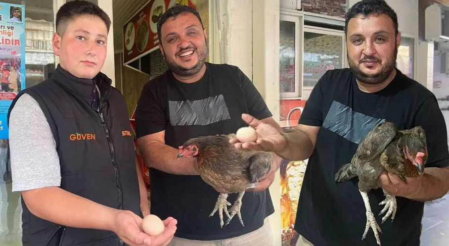 Antalya'da Tavuk Dönerciye Sürpriz Ziyaret! Tavuk İçeri Girip Yumurtladı!