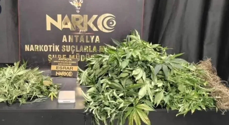 Haber Resmi
