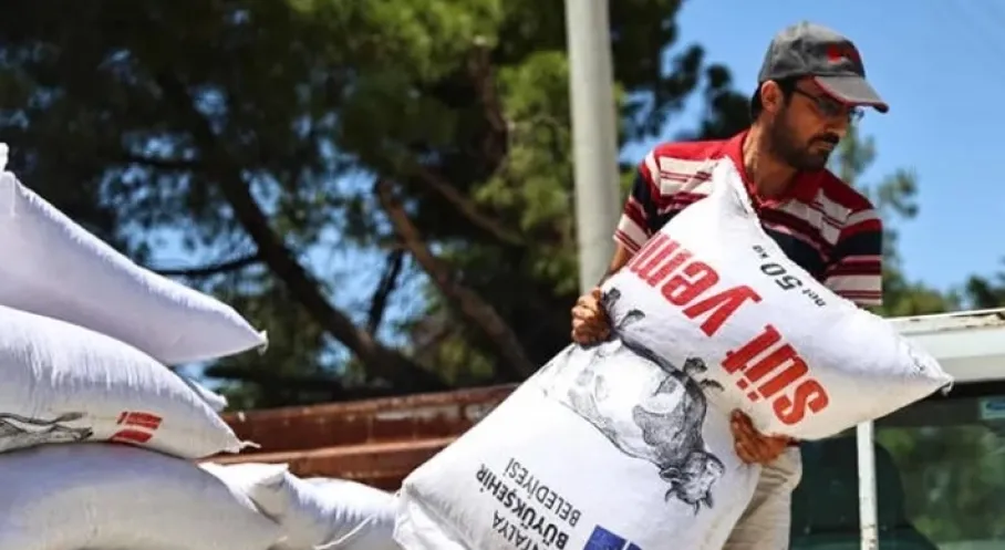 Antalya'da Süt Üreticilerine Yem Desteği: Üretimde Rekor Artış Bekleniyor!