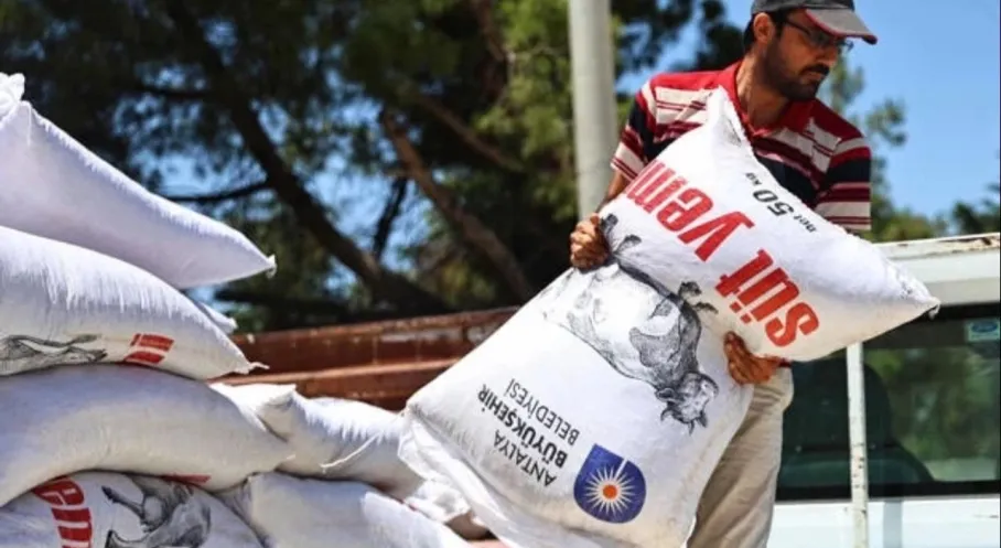 Antalya'dan Süt Üreticilerine Yem Desteği! Üreticinin Yüzü Güldü