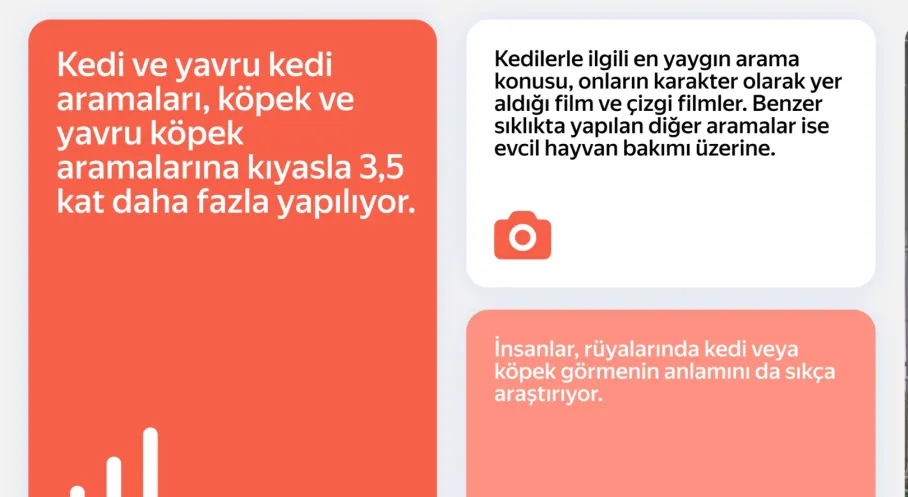 Arama Motorlarında Kedi Sevgisi Köpekleri Solladı!
