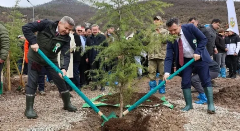 Artvin'de 21 Mart Dünya Ormancılık Günü'nde Fidanlar Toprakla Buluştu!
