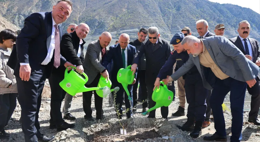 Artvin'in Yıldızı Butko Zeytini Atağa Kalktı: Dünya Markası Olmak İçin Fidanlar Toprakla Buluştu!