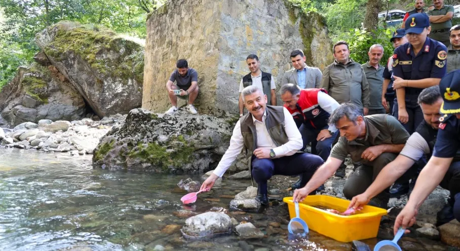 Artvin'de Hatila Vadisi'ne Alabalık Şöleni: 5 Bin Yavru Dereye Bırakıldı!